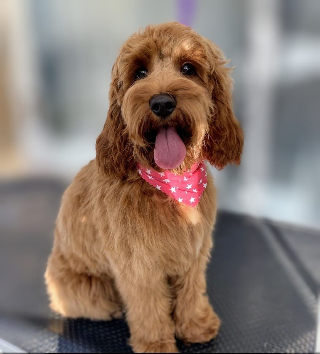 Tilly